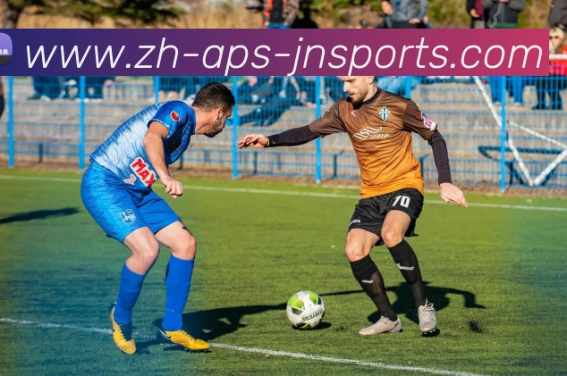 App Interface Preview